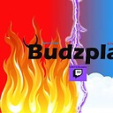 Budzplay