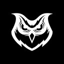 ArcticOwlNJM