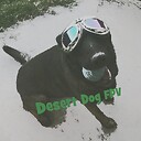 DesertDogFPV