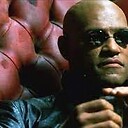 WmOrpheus