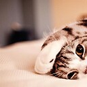 pawsomemomentss