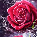 Amazingbeautifulshortvideo143