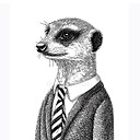 TheMeerkat