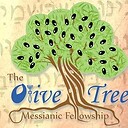 olivetreeinformation