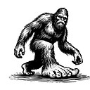 bajasasquatch