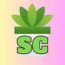 succulentschannel