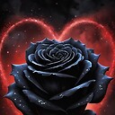 BlackRose4143