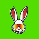 RabbitRacing