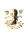 seedsoilbook
