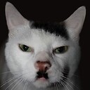 Kitler1