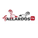 GallardosTvOficial