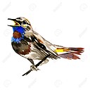 AndySparrow