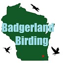 BadgerlandBirding