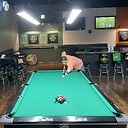 jvbilliards