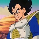 ssgvegeta96