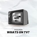 TheProgramOnTV