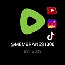 Membranes1300