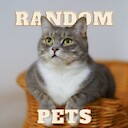 RandomPets