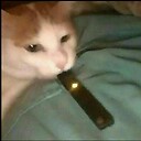 vapingcatman