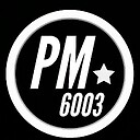 PM6003