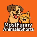 MostFunnyAnimalsShorts
