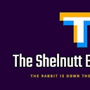 TheShelnuttExperiment