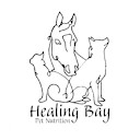 HealingBayPet