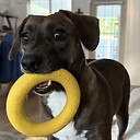 IceCreamKona