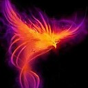 WildFirebird