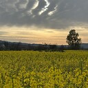 Mohamadimhd