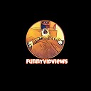 FunnyVidviews