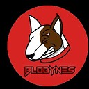 Blodynes