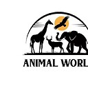 animalworld774