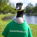 BrantaMediaDotCom