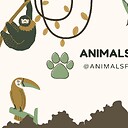 animalsfun00