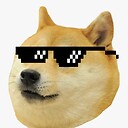 Funnyanimals97