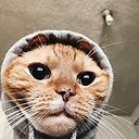 Just_rohitz