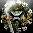Hodl420