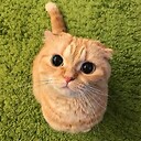 kriptoffa