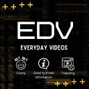 evrydayvideos