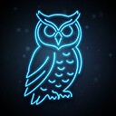 wiseniteowl