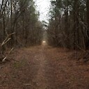 UCantRUNnHide