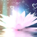 ConsciousnessEvolutionJourney