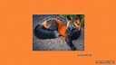 FireFox004