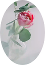 bhavna_04