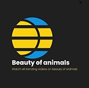 beautyofanimals