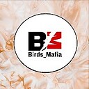 Birdsmafia