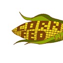 CornFedLife