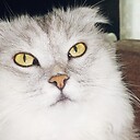 Aleksander001