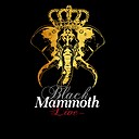 blackmammoth